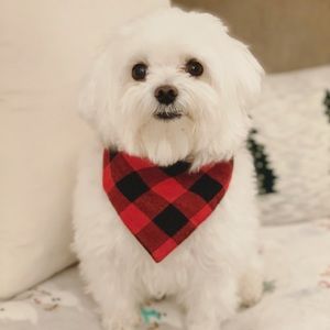 Meet your Posher, Nat